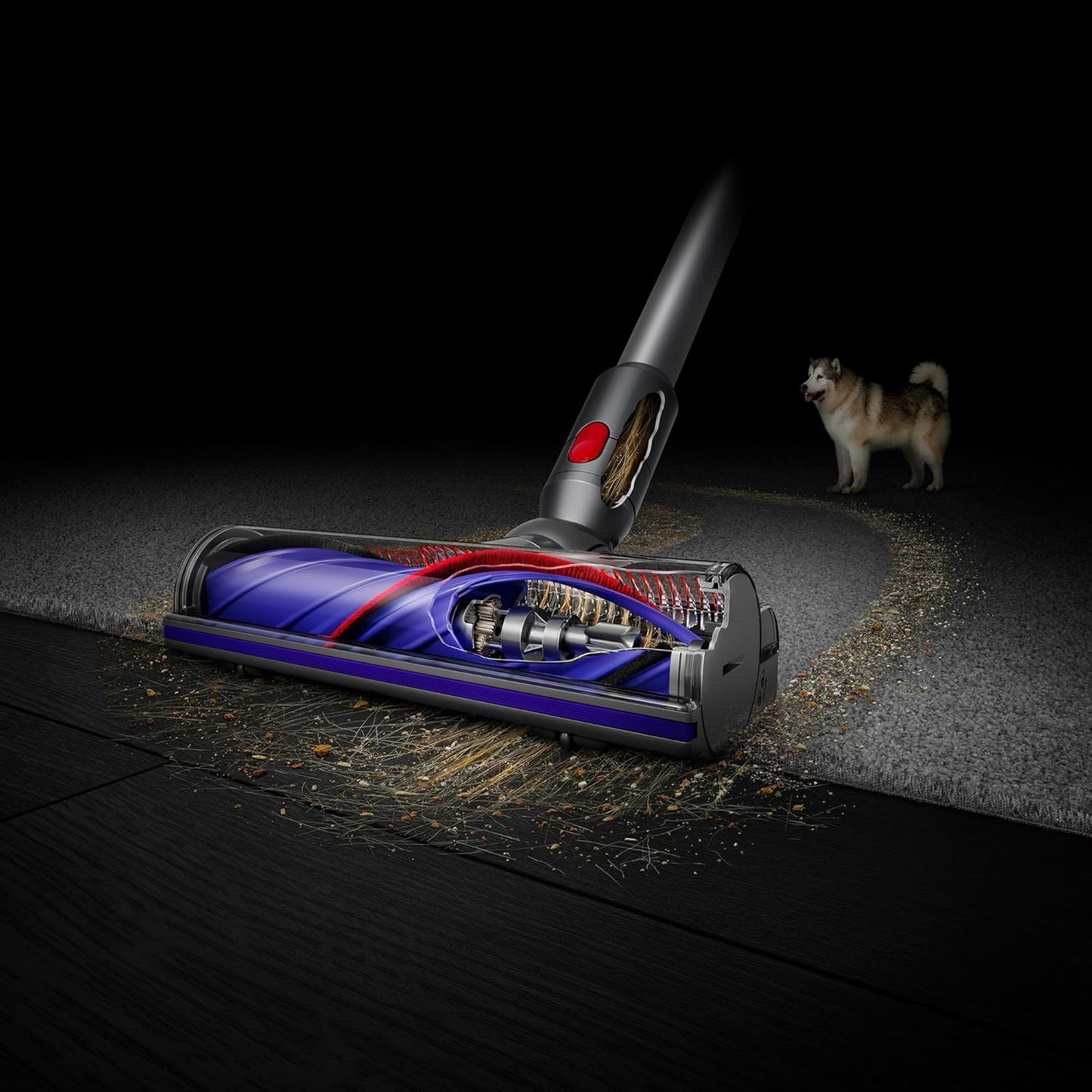 DYSON V7 ANIMAL+ CORDLESS