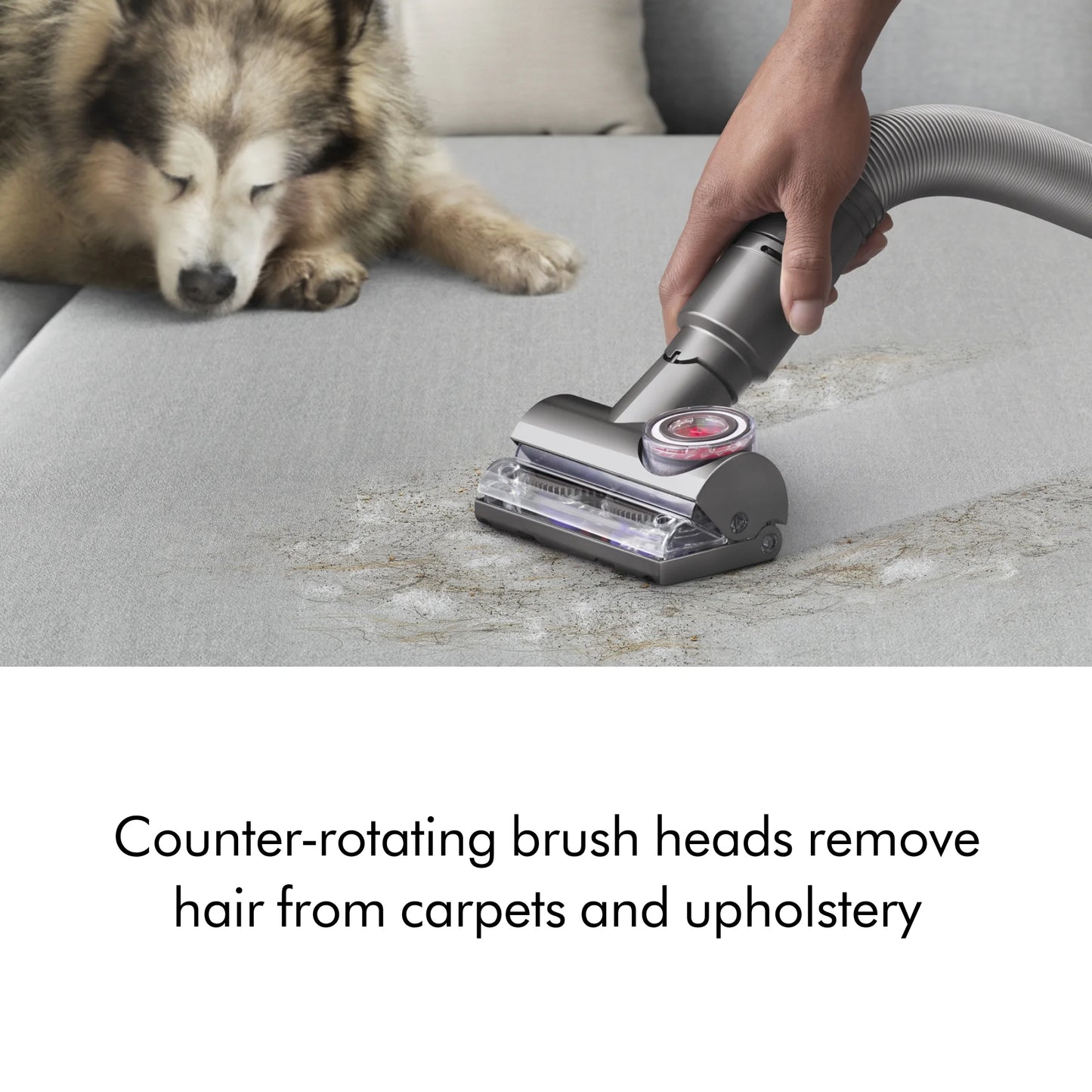 DYSON BALL ANIMAL2 ORIGIN