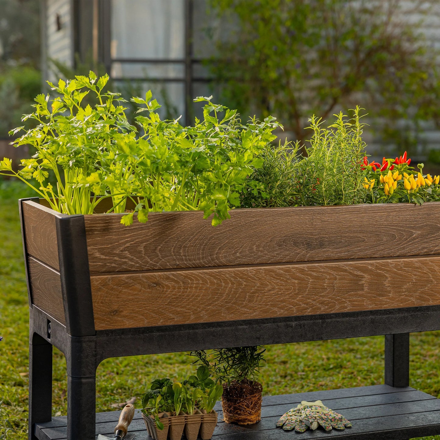 Walnut Elevated Garden Bed