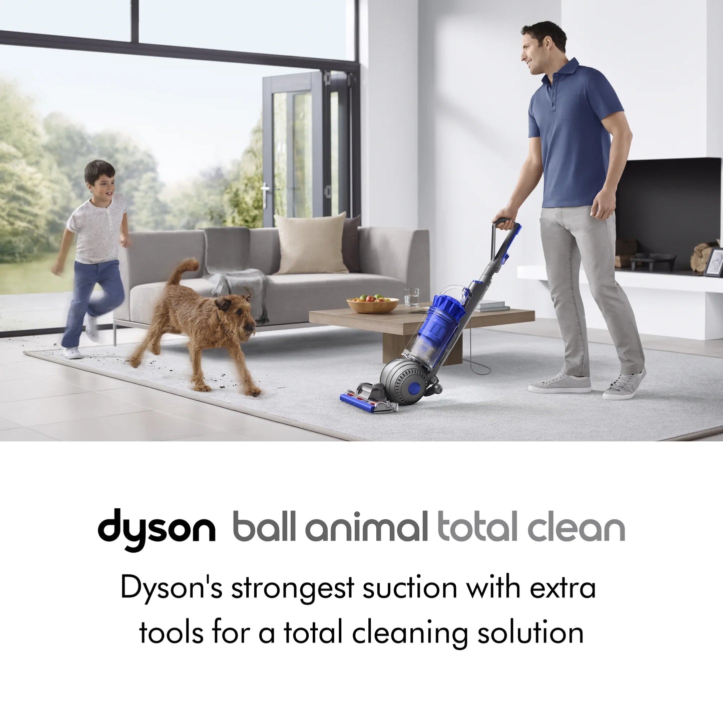 DYSON BALL ANIMAL2 ORIGIN