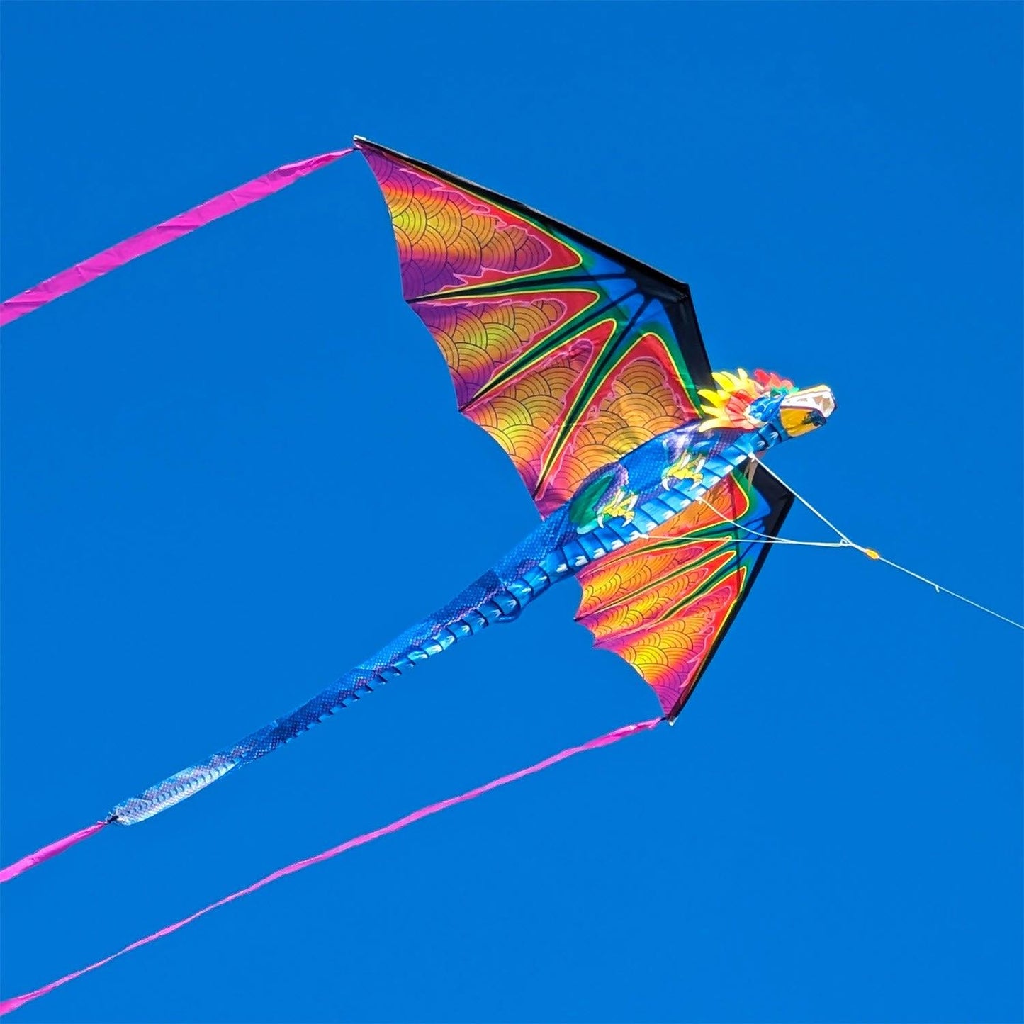 3-D Dragon SuperSized Nylon Kite