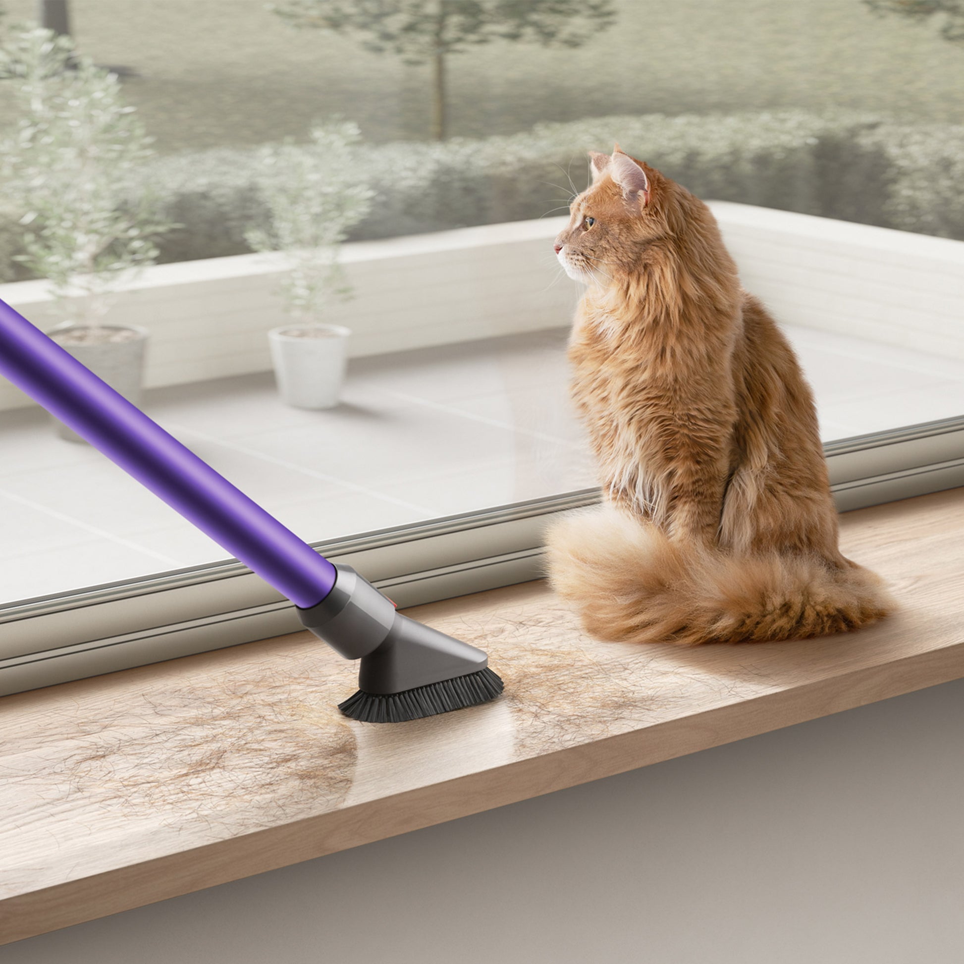 Cyclone V10 Animal + Cordless Vacuum Cleaner