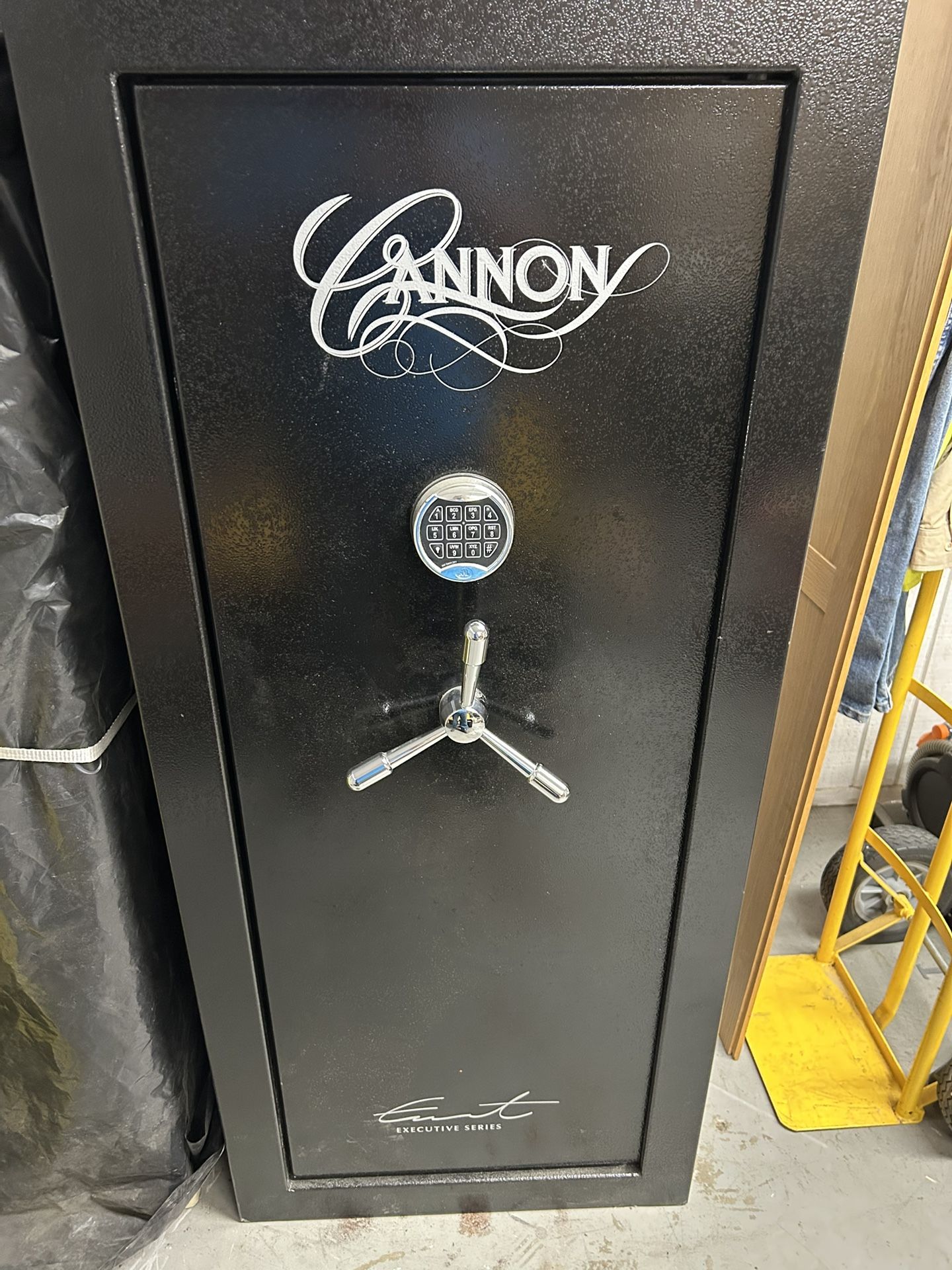 Cannon Executive CS6026 Gun Safe