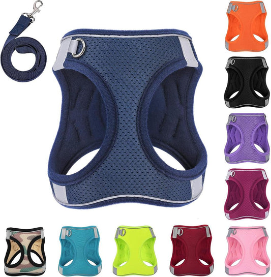 Dog Harness with Leash Set
